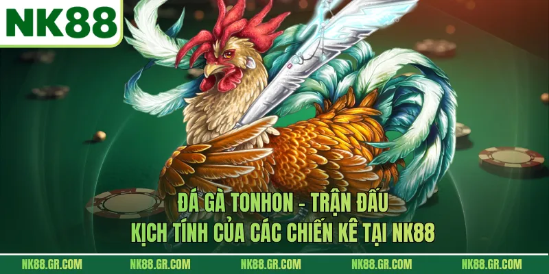 Đá Gà Tonhon - Trận Đấu Kịch Tính Của Các Chiến Kê Tại NK88
