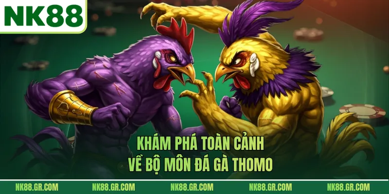 Khám phá toàn cảnh về bộ môn đá gà Thomo